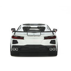 Chevrolet Corvette C8 Pace car IMSA
