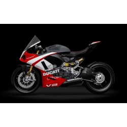 HK124 Ducati Panigale V2
