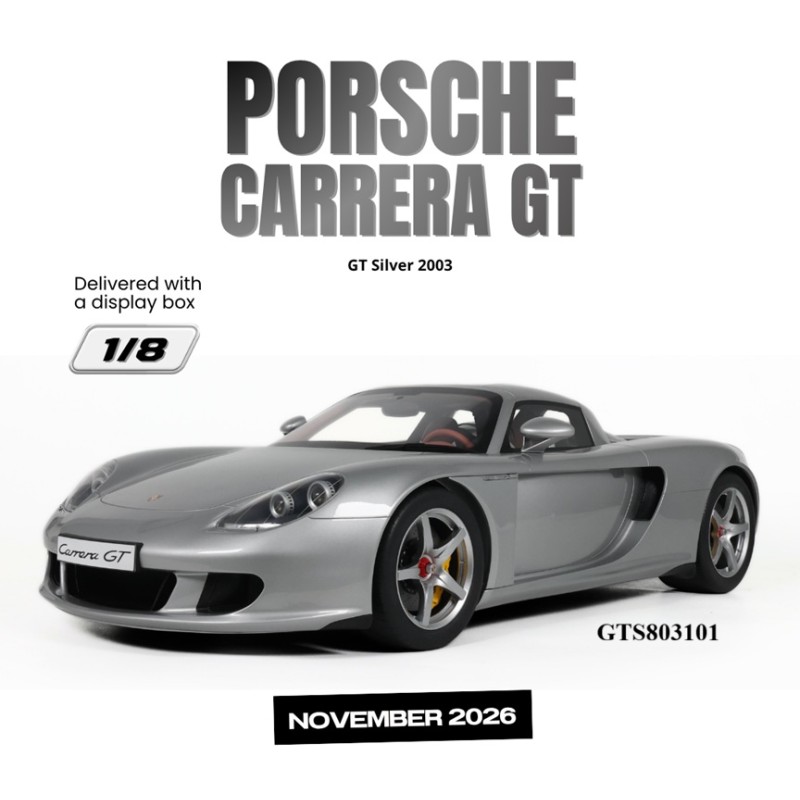 GTS803101 carrera GT