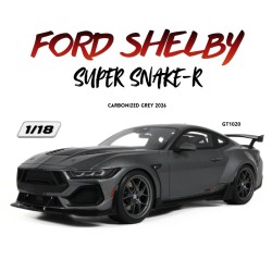 GT1020 shelby ford