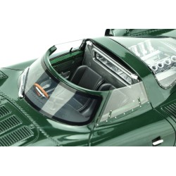 Jaguar XJ13 (groen)