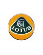 Lotus