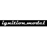 Ignition model
